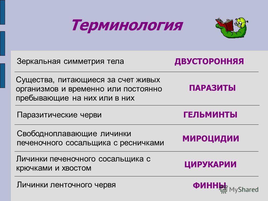 Как зарегистрироваться на кракене маркетплейс